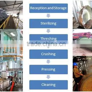Palm Kernel Oil Processing Plant, Palm Oil Pressing Machine in Indonesia thumbnail-3