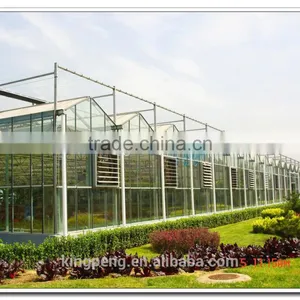 Ultra Clear Float Glass Greenhouse Manufacturer (ISO9001:2000) thumbnail-1