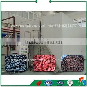 China Berry Fluidize IQF Freezer thumbnail-1