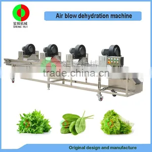 Hot Selling Industry Air Blow Dehydration Machine for Vegetable and Fruits,automatic Air Blow Drying Conveyor thumbnail-1