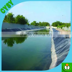 Light Weight Good Function Hdpe Impervious Membrane on Sale thumbnail-3