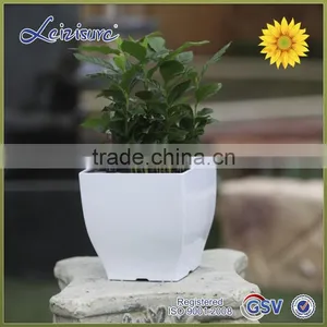 " TOP 1 Pot Supplier" Decoration Container Homes for Sale Home Gardening Plastic Pots thumbnail-1