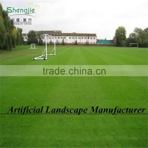 SJ20170025 Wholesale 40*60cm Artificial PE Grass for Football Outdoor thumbnail-4