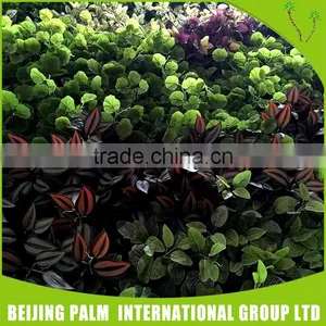 Custom Made Artificial Hot Selling Green Wall Decorative Artificial Plant thumbnail-4