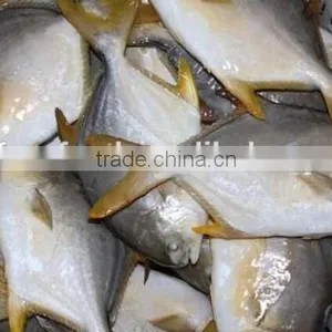Seafood Product and Goden Pomfret thumbnail-1