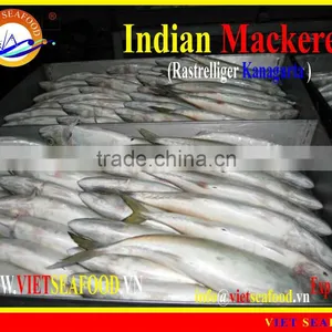 FROZEN INDIAN MACKEREL thumbnail-5