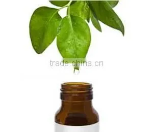 Tea Tree Oil thumbnail-1