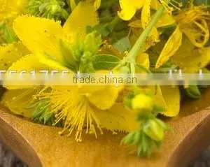 St. John's Wort Oil thumbnail-3