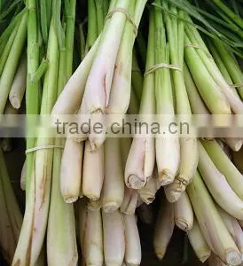 Fresh Lemongrass Vegetable in Vietnam/ Frozen Lemongrass thumbnail-2