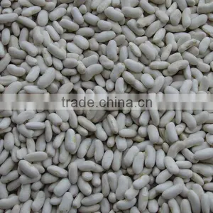 Alubia Beans thumbnail-1