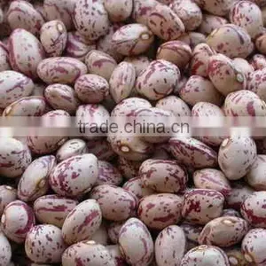 Light Speckled Kidney Beans thumbnail-1