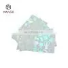 Generic Transparent Hologram ID Card Overlay thumbnail-5