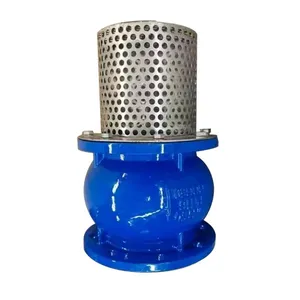 Factory Direct Sales of High-quality Flange Type Bottom Valve With Filter Screen thumbnail-3