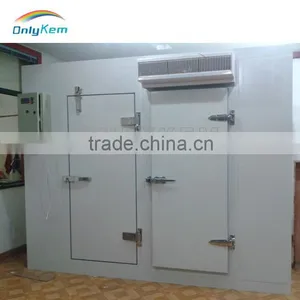 Supermarket Cold/frozen Room for Meat/fish/vegetable thumbnail-2