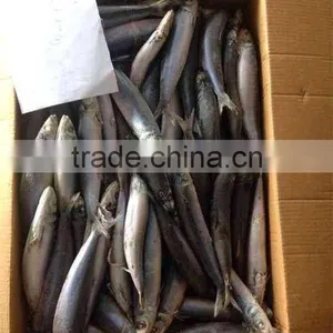 Sea Frozen Whole Round Frozen Sardine Fish thumbnail-5