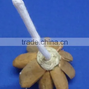 Sola Flower thumbnail-2