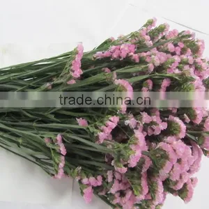 Colorful Hot Sale Decorative Supplies Myosotis thumbnail-2