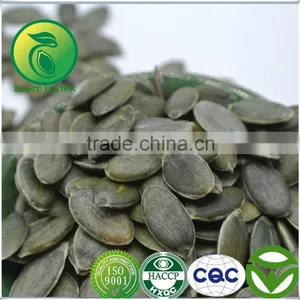 Best Selling Products GWS Pumpkin Kernels Grade AA thumbnail-1