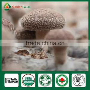 Shiitake Mushroom Compost,Cancer Cure Mushroom,Frozen Shiitake thumbnail-6