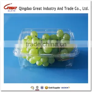 Plastic Transparent Box 1pound Strawberry Packaging Container thumbnail-3