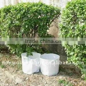 Needle Punched Nonwoven for Planting Blanket thumbnail-1