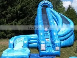 Giant Infaltable Water Slide thumbnail-2