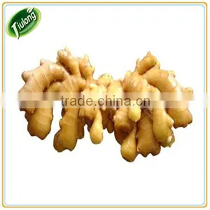 Chinese Fresh Dried Ginger for Sale thumbnail-1