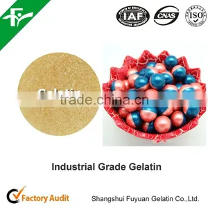 High Quality Industrial Gelatin For Paper Making thumbnail-6