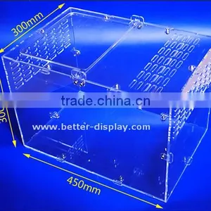 Custom Acrylic Clear Plastic Terrarium thumbnail-1