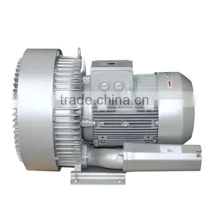 Double Stage High Pressure Vortex Air Pump thumbnail-1