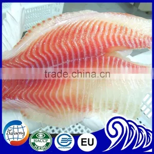 Bulk Tilapia Fillet for Tilapia Buyer thumbnail-1