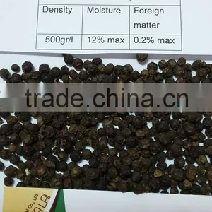 VIETNAM BLACK PEPPER BEST PRICE thumbnail-1
