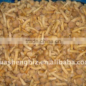Fresh IQF Pholiota Nameko thumbnail-3