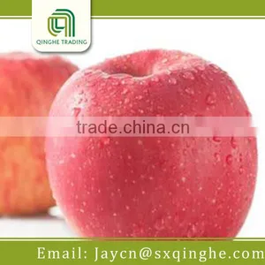Apple Fuji, Red Delicious Apple Fruit Export thumbnail-2