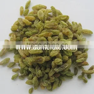 Top Quality Raisin(sun Dried) From Xinjiang thumbnail-2