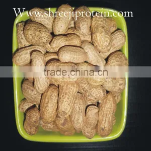 PEANUT IN SHELL thumbnail-1