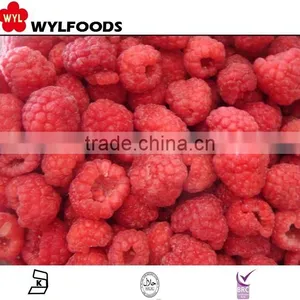 IQF Frozen Raspberry thumbnail-1