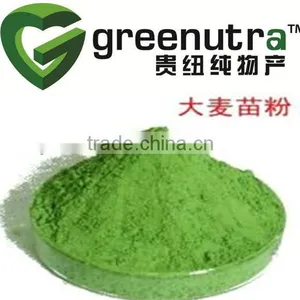 Barley Grass Straight Powder thumbnail-1