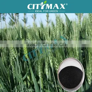 Leonardite Humic Acid Organic thumbnail-1