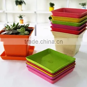 Ecoflower Pots thumbnail-1
