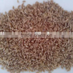 Broekn Rice As Material Reconstituted Rice Processing Line thumbnail-1