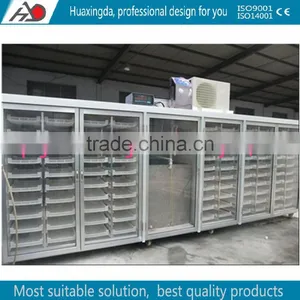 Low Price Vegetable Seed Growing Machine /Fodder Sprout Machine/Barely Grass Growing Machine thumbnail-3