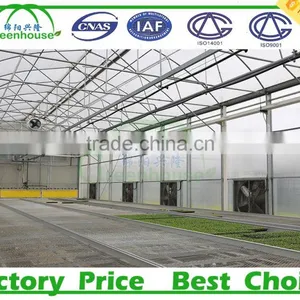 One Stop Grande Greenhouse Type Multi Span Plastic Film Commercial Greenhouse for Sale thumbnail-4