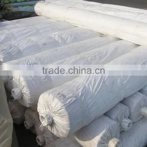 Clear LDPE Mulch Films , Greenhouse Films for Agriculture thumbnail-3