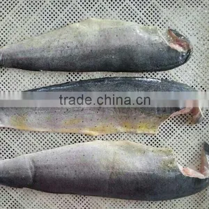 Frozen Mahi-mahi and Coryphaena Hippurus Fillet thumbnail-2