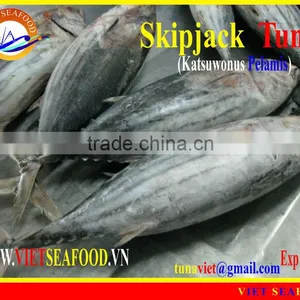 FROZEN SKIPJACK TUNA WHOLE ROUND thumbnail-1