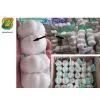 2012 New Garlic thumbnail-1