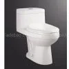 Toilet thumbnail-1
