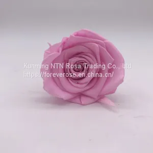 Preserved Flowers for Party Decoration thumbnail-1