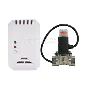 Matching Shut Valve 12v Gas Detector Natural Gas Leak Detector Lpg Gas Detector thumbnail-2